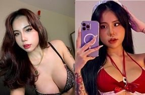 Я продемонстрировал красочные бабочки онлайн